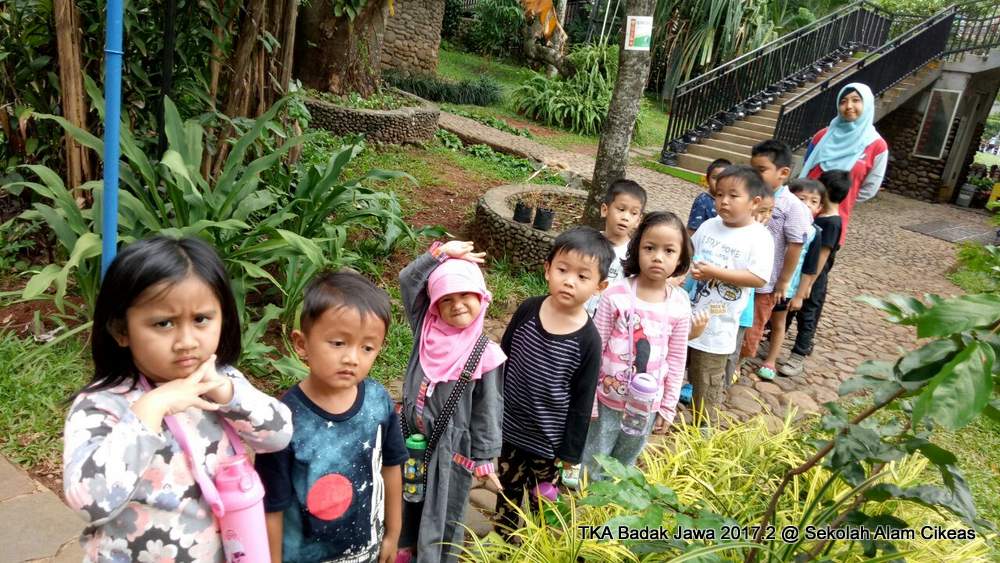 Sekolah Alam Cikeas, TK favorit dan unggulan di Cibubur